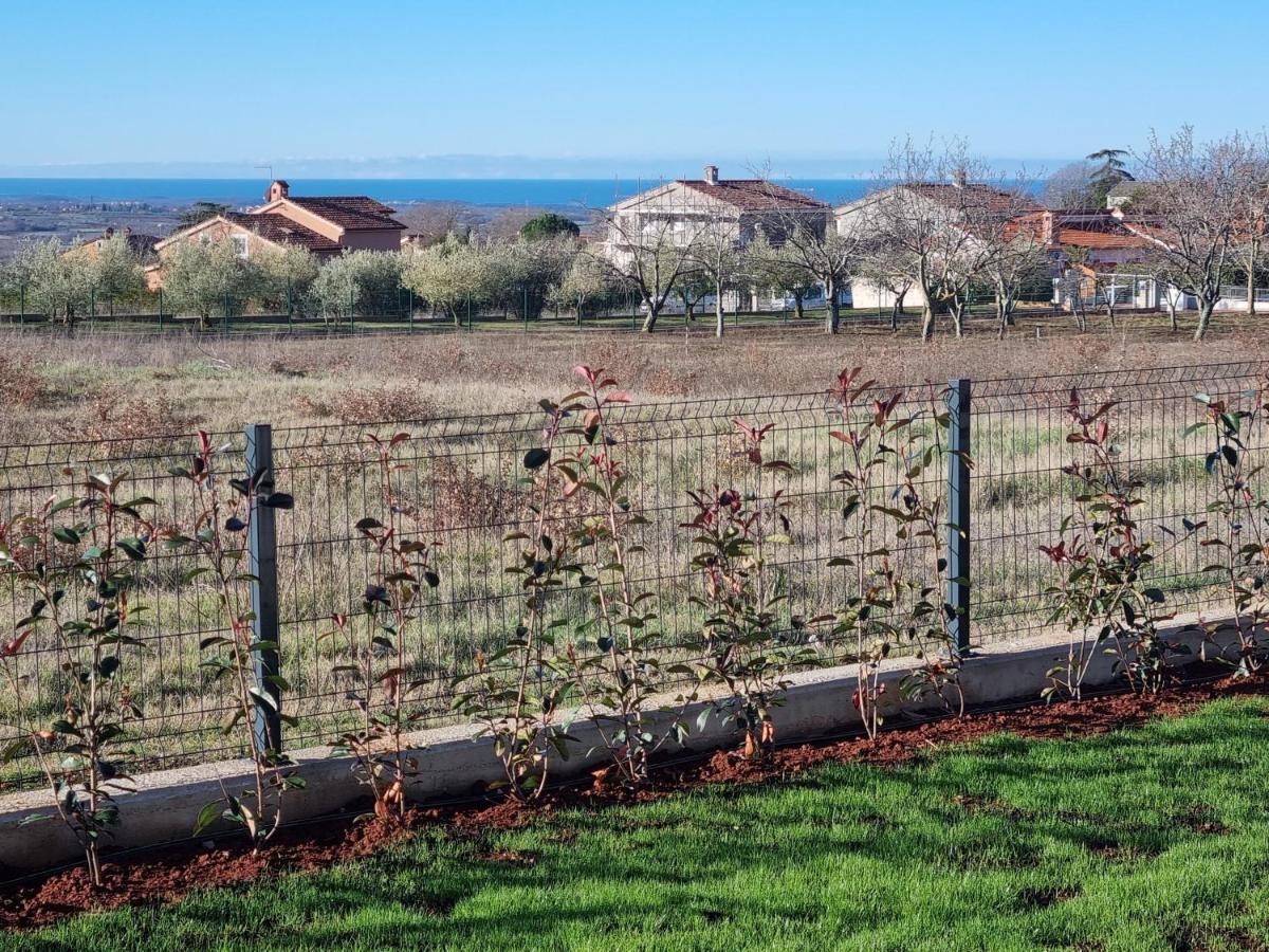 Villa Robert Kaštelir Εξωτερικό φωτογραφία